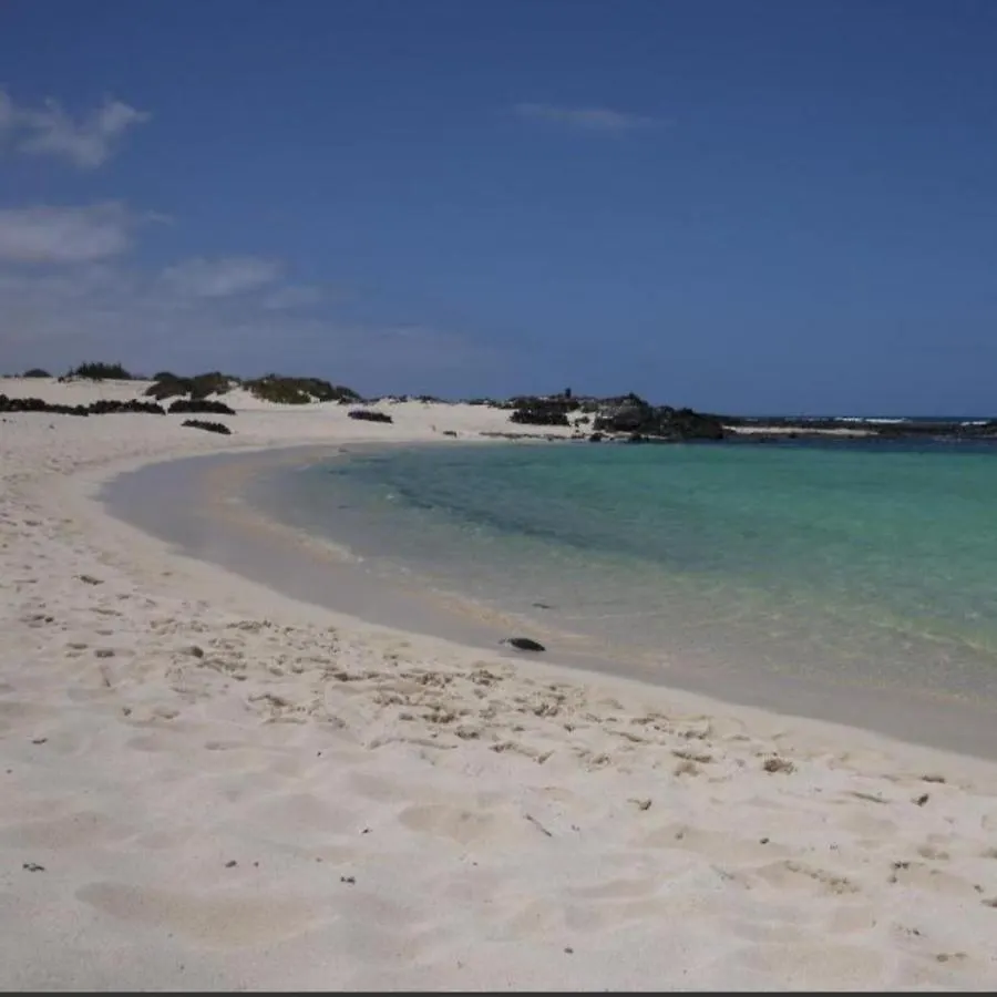 Apartamentos Albaula 5 El Cotillo  Apartment